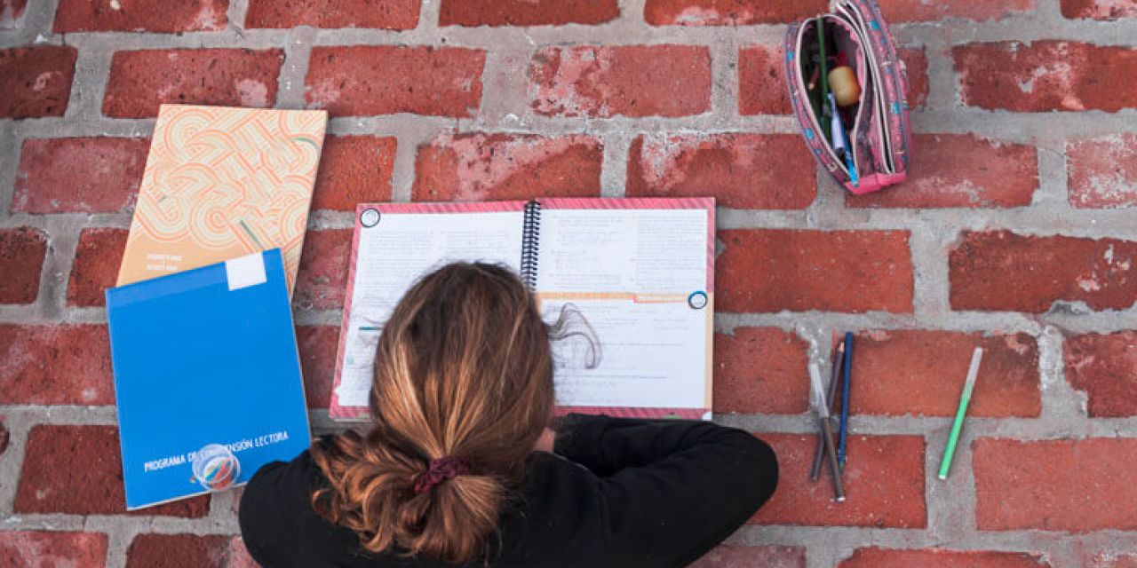 a girl studying
